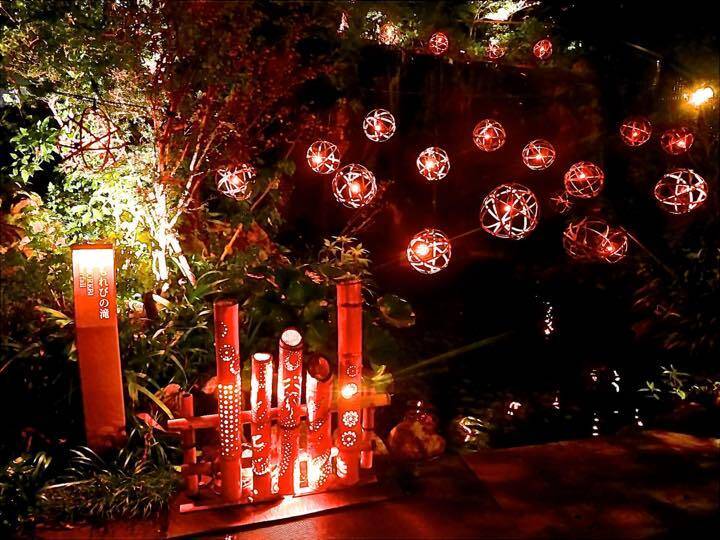 ライトアップが美しい
夜の庭園をお散歩 / 1