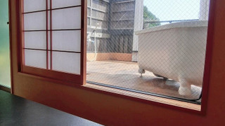 和室 4人部屋 露天風呂付 202