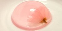 帰る前にチェック！秋田駅で買えるおすすめの人気のお土産11選