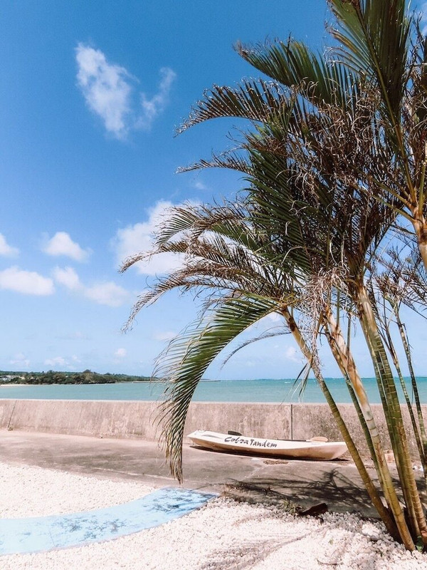 施設からの眺望