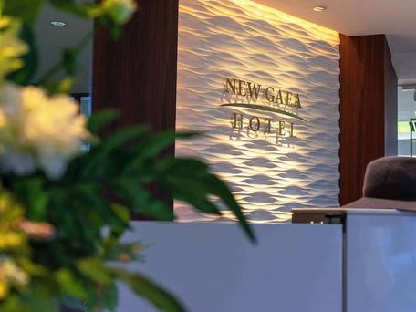 ホテルニューガイア ドーム前 / 2