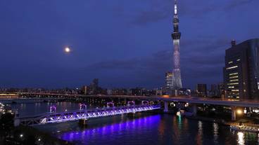 部屋からの景観 / 16