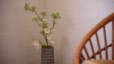 客室の設備とサービス / 22