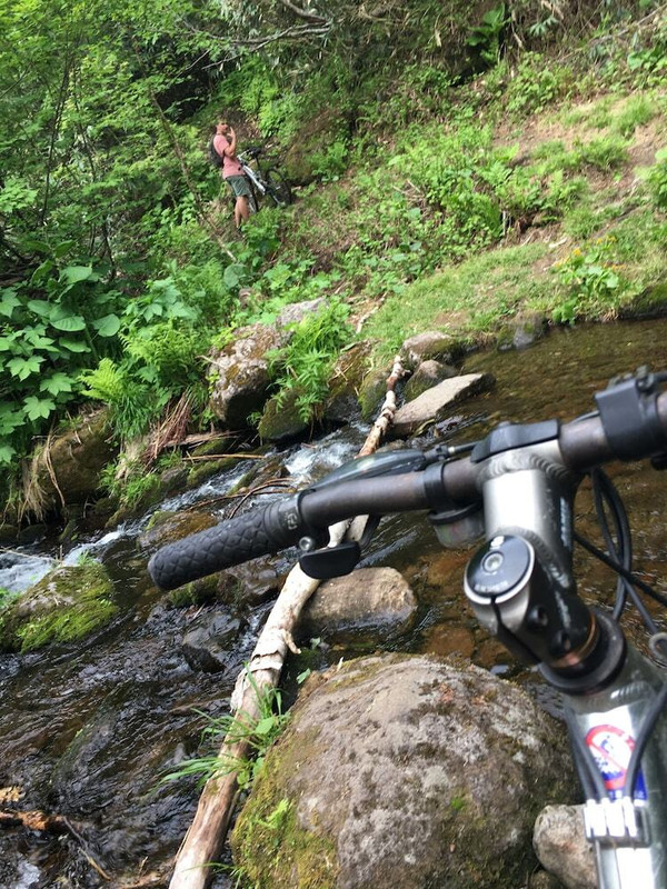 自転車