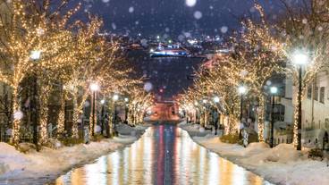 八幡坂 冬のイメージ / 5