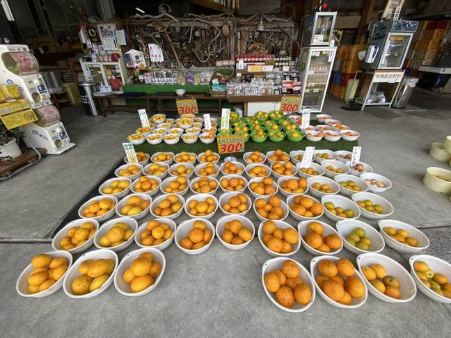 湯河原名物のみかんを
堪能できる問屋へ♪ / 2