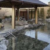 神戸みなと温泉 蓮（兵庫県 旅館） / 3
