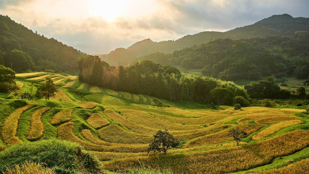 鴨川の絶景スポット
「大山千枚田」へ / 2