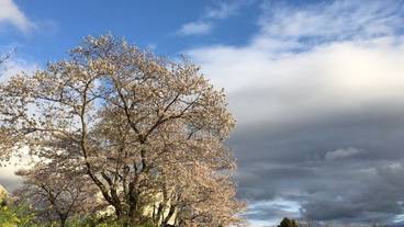 施設からの眺望 / 23