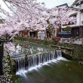 城崎温泉 ゆとうや旅館（兵庫県 旅館） / 3
