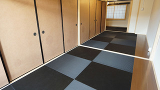 コンドミニアム (Apartment)