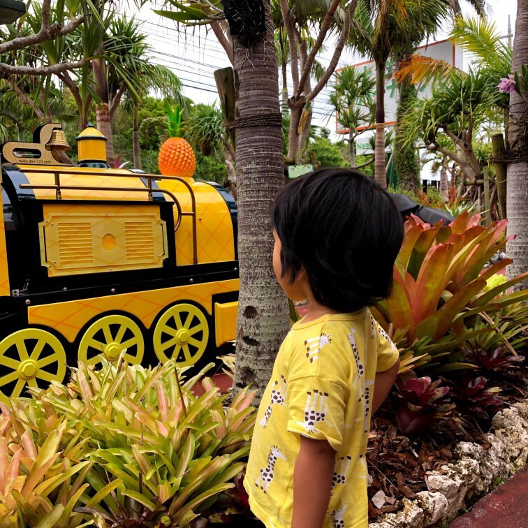 「ナゴパイナップルパーク」内は不定期でトレインが走る / 2