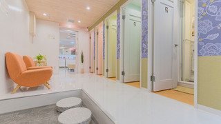 ラグジュアリー ドミトリー ルーム 男女共用 二段ベッド 2名分 (ペット不可)