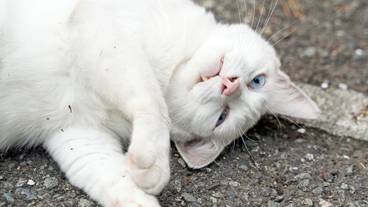 施設の敷地 / 24