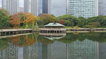 観光スポット / 4