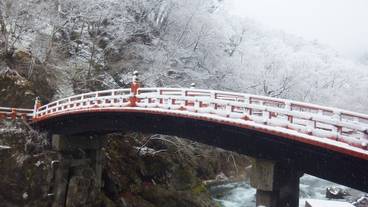 観光スポット / 23