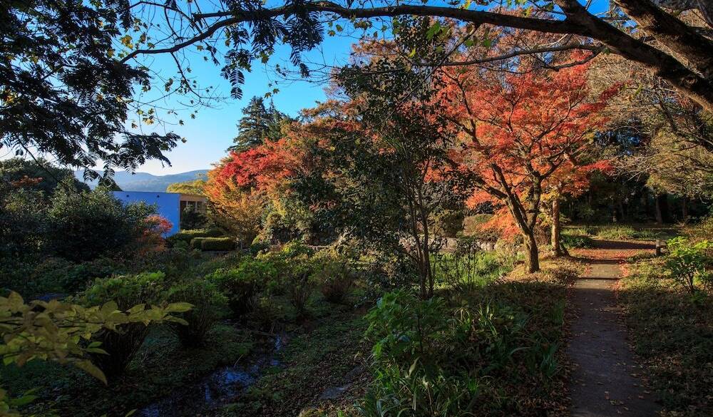 敷地内 秋のイメージ / 3