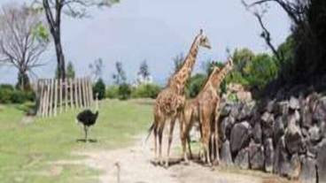 観光スポット / 9