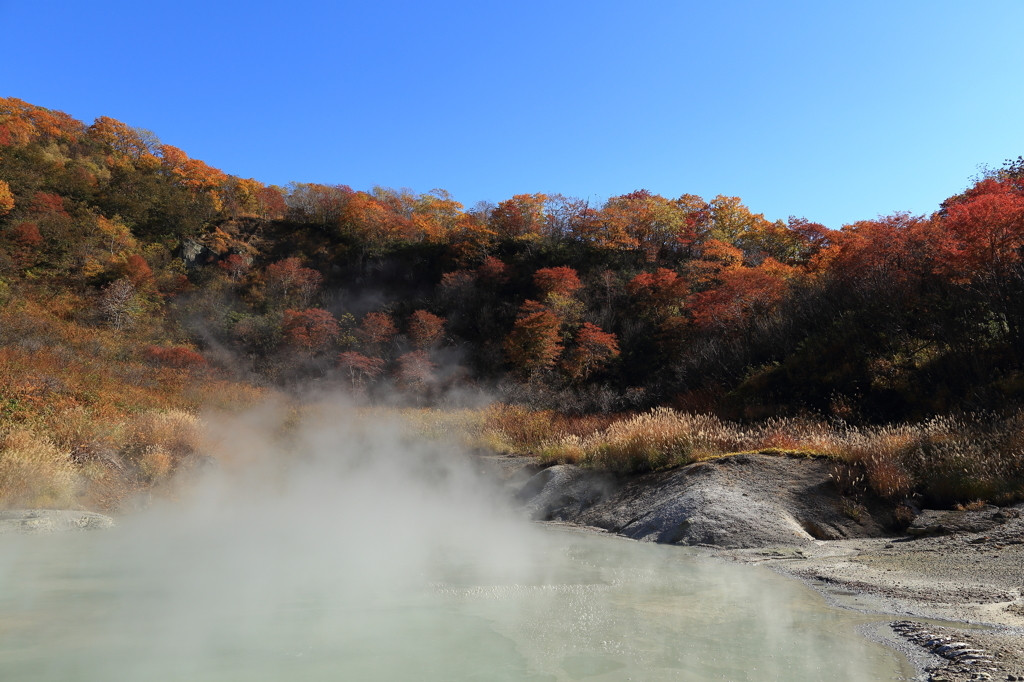 Check2:「北海道遺産」に認定されています1335882