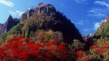 施設の敷地 / 11