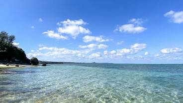 ビーチ / オーシャン ビュー / 4