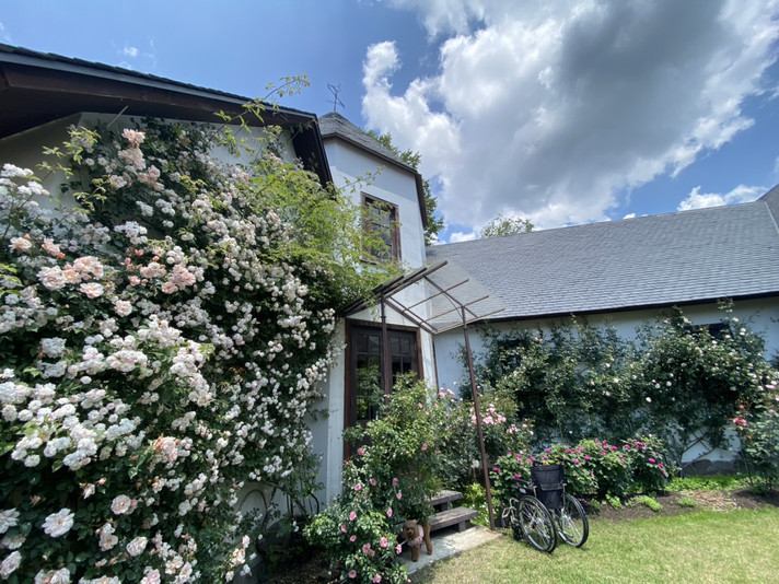 カフェルヴァン