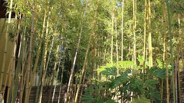 施設の入り口 / 19