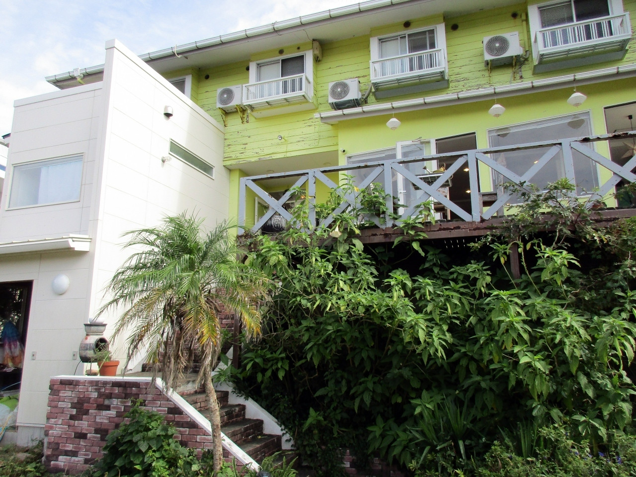 ニャンコたちから、エネルギッシュなパワーをもらえる4260585