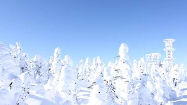施設の敷地 / 17