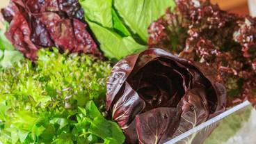 朝食ビュッフェ / 2