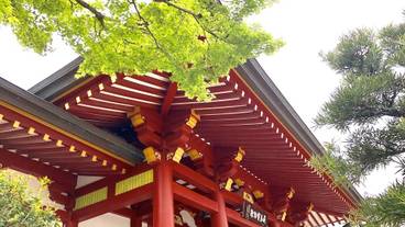 観光スポット / 27