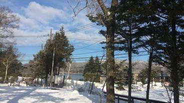 施設の敷地 / 15