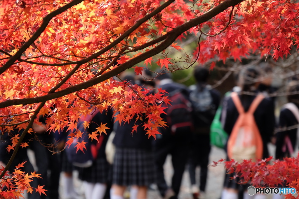 学生時代に戻って旅をしたい…4007784