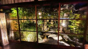 ガーデン ビュー / 11