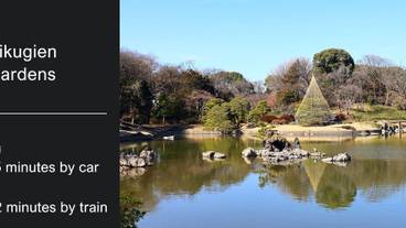 観光スポット / 11