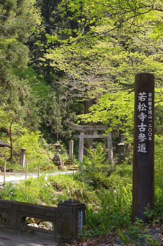 観光スポット