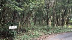 余暇を楽しむ1日3組限定の宿 鹿鳴庵（ろくめいあん）