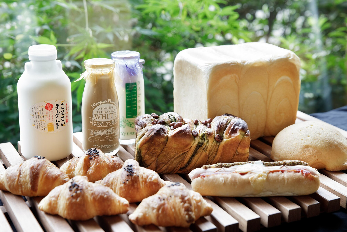 郡上の魅力が詰まった道の駅「古今伝授の里やまと」3743771