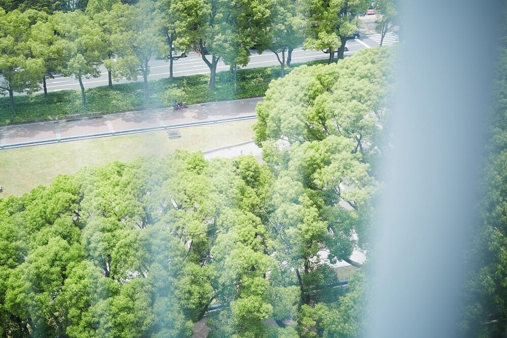部屋からの景観