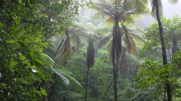 施設の敷地 / 27