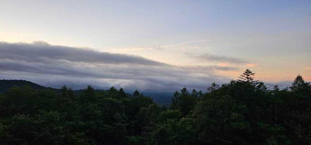 risa_first.sakura_24さんの写真 / 1