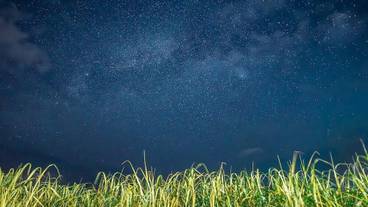 部屋からの景観 / 33