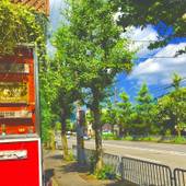 つばめ家（京都府 ゲストハウス・ホステル・ドミトリー） / 2