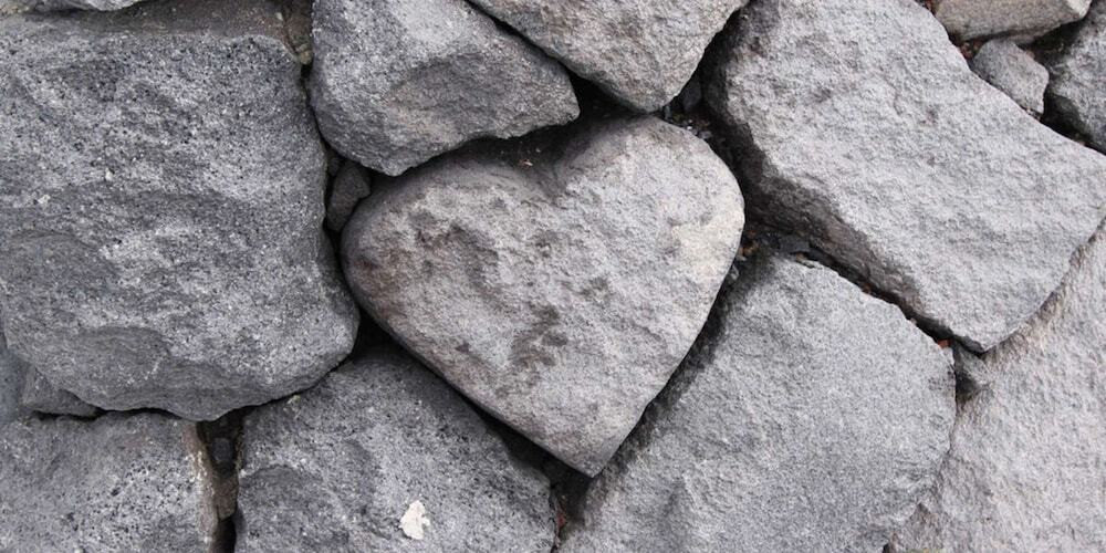 施設からの眺望