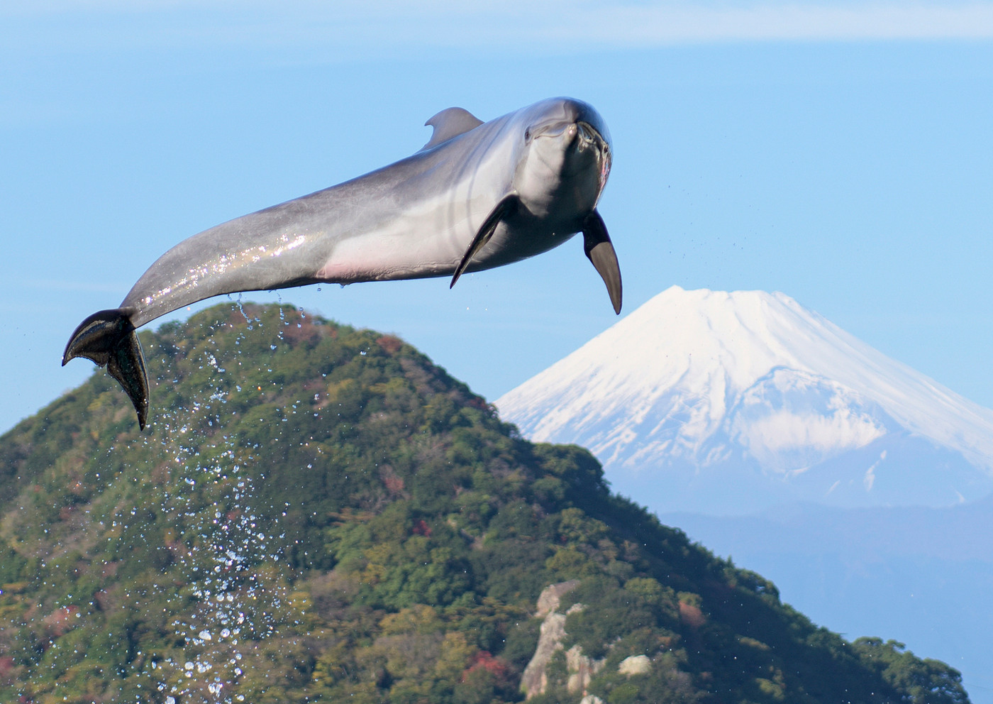 温泉もレジャースポットも！伊豆エリアは子連れ旅にぴったり4021827