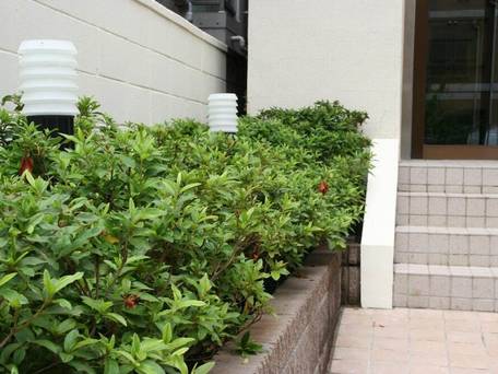 ホテルハナビ / 4