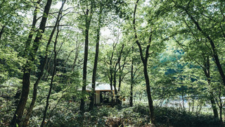 グランピング ローズビュー 禁煙