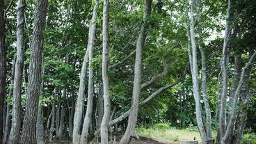 バスルーム / 40