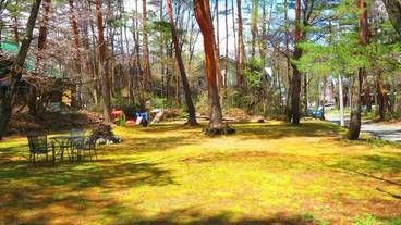 施設の敷地 / 12