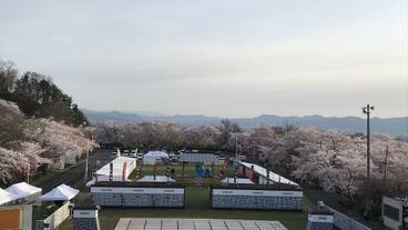 観光スポット / 9